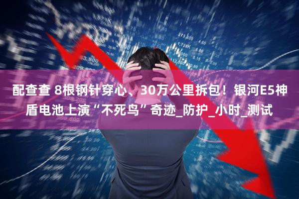 配查查 8根钢针穿心、30万公里拆包！银河E5神盾电池上演“不死鸟”奇迹_防护_小时_测试