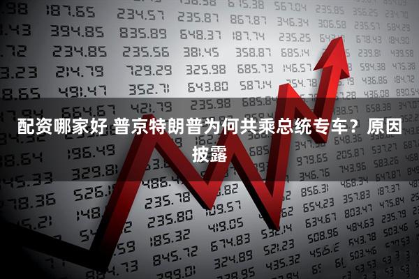 配资哪家好 普京特朗普为何共乘总统专车？原因披露