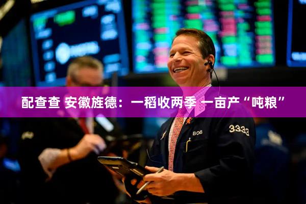 配查查 安徽旌德：一稻收两季 一亩产“吨粮”