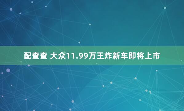 配查查 大众11.99万王炸新车即将上市