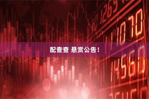 配查查 悬赏公告！