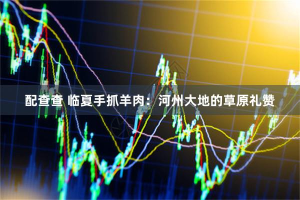 配查查 临夏手抓羊肉：河州大地的草原礼赞