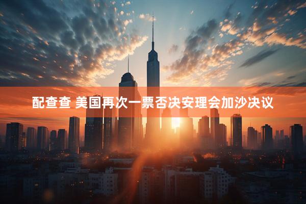 配查查 美国再次一票否决安理会加沙决议