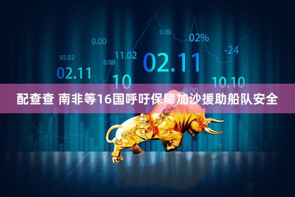 配查查 南非等16国呼吁保障加沙援助船队安全